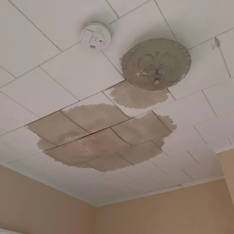 Ceiling Water Damage Repair in Warrenton, VA