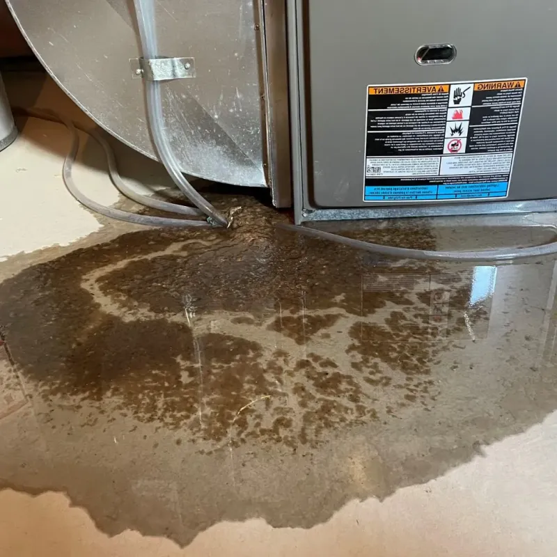Pipe Burst and Leak Restoration in Warrenton, VA